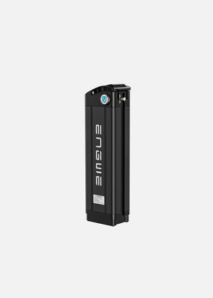 Engwe L20 Lithium-ion Battery