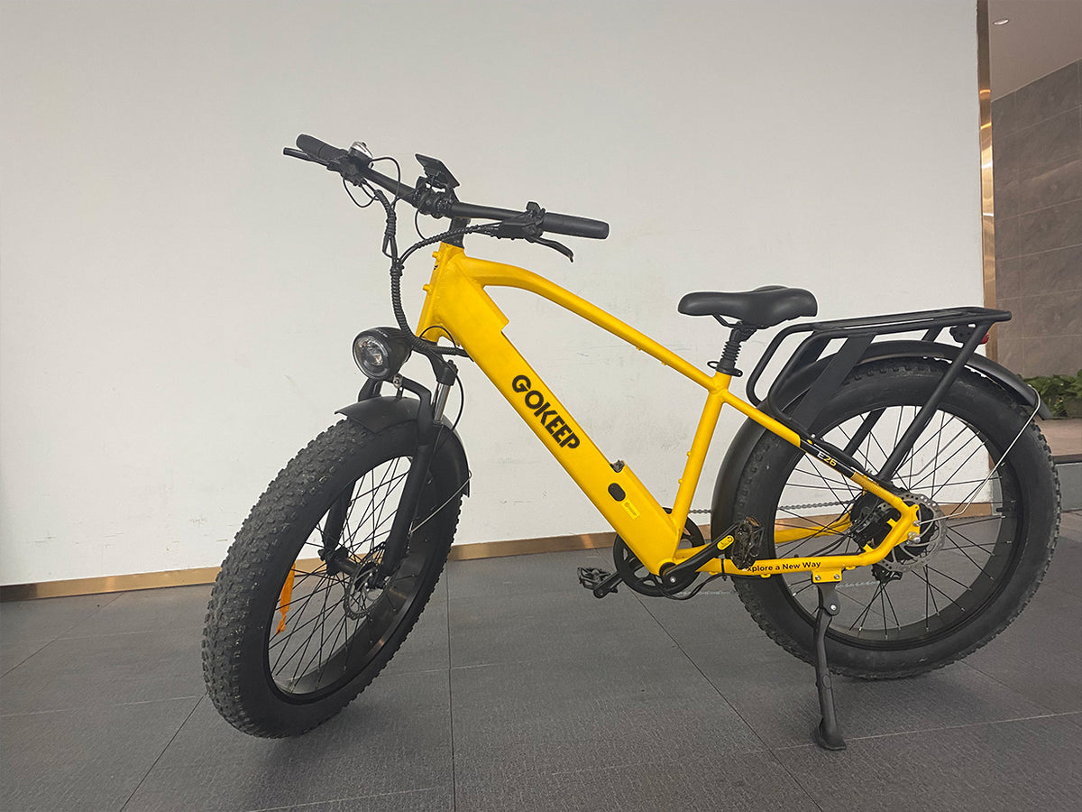 Engwe Gokeep – ENGWE US