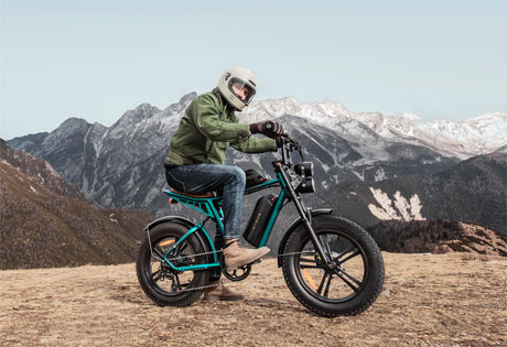 ENGWE M20 Dual Batteries and Long Cruising range e-Fat Bike: Recommended by Professional Reviewers