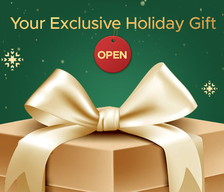 A gift box with "Your Exclusive Holiday Gift" written on it