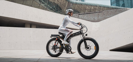 engwe x24 e-bike