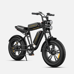 ENGWE M20