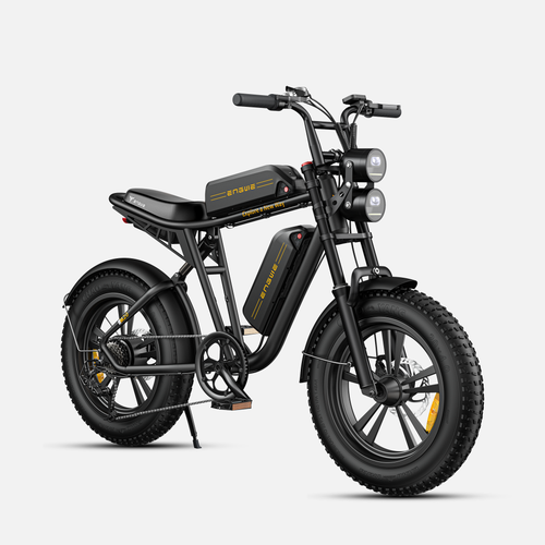 ENGWE M20
